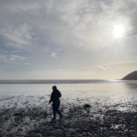 Laura Davies (@laurad_pe) 's Twitter Profile