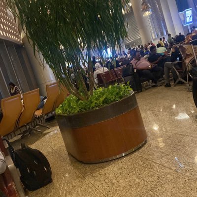 singhmukesh21's profile picture. 