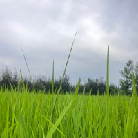 Yatoo Imtiyaz (@yatooimtiyaz3) 's Twitter Profile