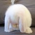 บบ (@bbarboobieeee) Twitter profile photo บบ (@bbarboobieeee) Twitter profile photo