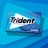 @tridentgum