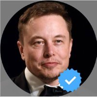 ElonMusk(@elon_ceotesla) 's Twitter Profileg