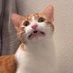 Mel (@maelody__) Twitter profile photo Mel (@maelody__) Twitter profile photo
