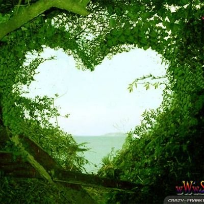 There is always a maybe in every never
.
.
همیشه شایدی در هر هرگز وجود دارد.
(فالو = فالو follow = follow)