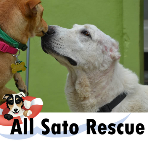 All Sato Rescue (ASR) is a nonprofit organization dedicated to improving the lives, and reducing the numbers, of abandoned dogs in Puerto Rico.