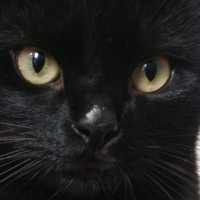 Hamou_Rabi2's profile picture. 2 s'écrit 10 en binaire !