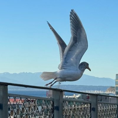 sabra_shukra's profile picture. Keep it simple & +ve!!