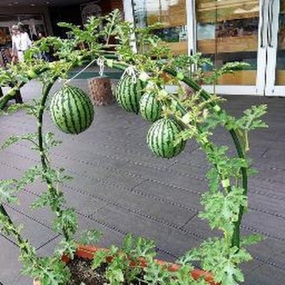 Uk616767Khan's profile picture. 