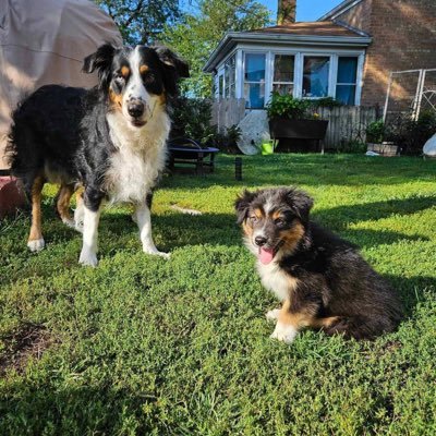 Yvonne029570881's profile picture. 