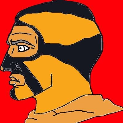 LibDemLucha Profile Picture