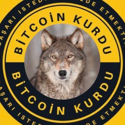 Bitcoin Kurdu Official Twitter Account #Bitcoin #Altın #Bist100 #Stratejist 🐺
