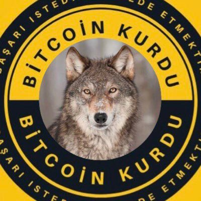 Bitcoin Kurdu Official Twitter Account Follow for Telegram https://t.co/o0eNwuzaV4