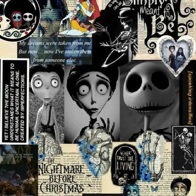 PedroEm42944277's profile picture. 