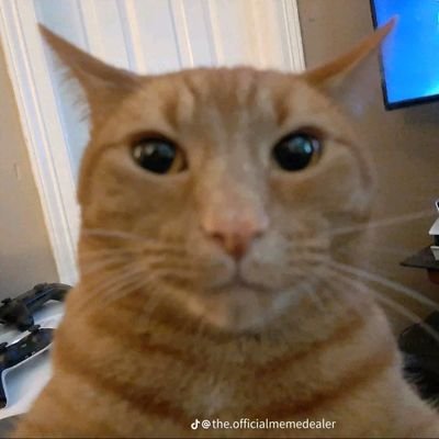 reynerlz's profile picture. 