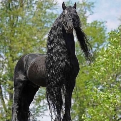 miss2incredible's profile picture. GOD OVER EVERYTHING