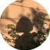 sıla (@xsla1201) Twitter profile photo sıla (@xsla1201) Twitter profile photo