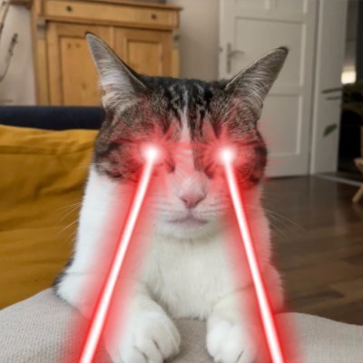 burnaDLX's profile picture. design and coding enthusiast | orange pilled | lands tre flips bolts everytime you don’t look