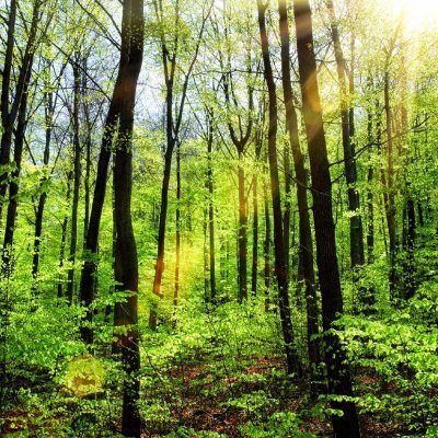 LeaSirugue's profile picture. 