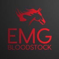 EMG Bloodstock (@emgbloodstock) 's Twitter Profile Photo