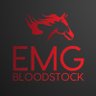 EMG Bloodstock photo