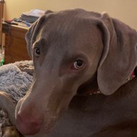 Liveandletlive (@jsquared1969) 's Twitter Profile