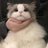 mc__study's profile image