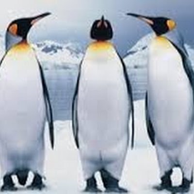 robotmonst38139's profile picture. 