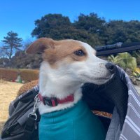 たく (@tky1719_taku) 's Twitter Profile