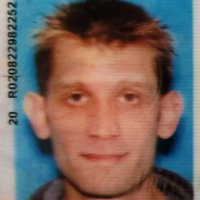 Sadge McMutton (@sadgemcmutton) 's Twitter Profile