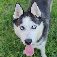 Arkanon1985's profile picture. 