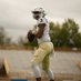 Deymon Fleming Jr (@deymon_jr) Twitter profile photo Deymon Fleming Jr (@deymon_jr) Twitter profile photo