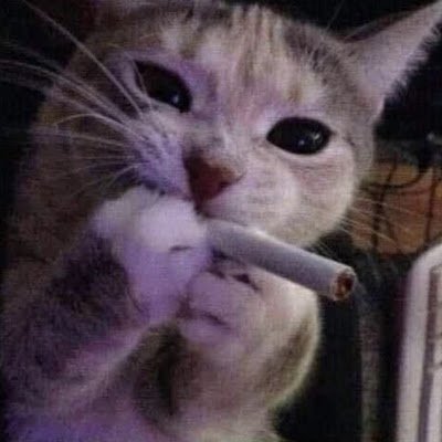 Portavsky's profile picture. Hodler, advocate for decentralized finance, and passionate about the future of digital assets. Join me in the crypto conversation! 🔗💰