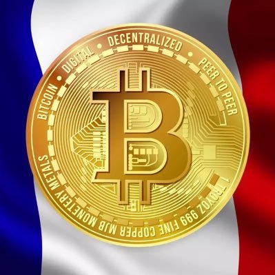 mrcryptofrance's profile picture. Apprend et explore la cryptomonnaie avec des leçons simples 📚📊📈