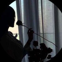 🐆 (@v12vx_) 's Twitter Profile