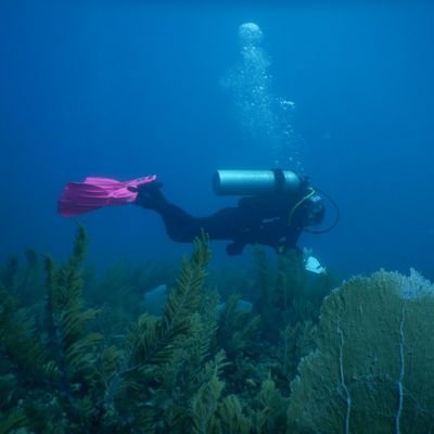 Marine Science, Coral Reefs