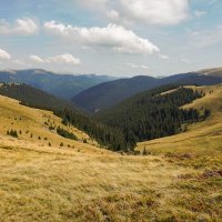 Jacquelyn Higgins (@higgins30641) 's Twitter Profile