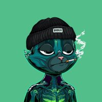 Charly Castille (@c_h_a_c_h_) 's Twitter Profile Photo Charly Castille (@c_h_a_c_h_) 's Twitter Profile Photo