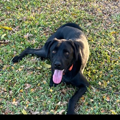 aacobb's profile picture. 