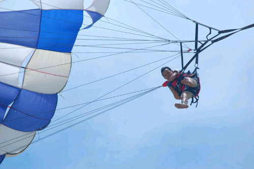 Zodi4k's profile picture. 