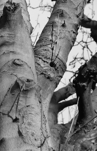 A new Not for Profit Social Enterprise delivering Forest School experiences for children, young people and adults. Join us for a great learning experience!