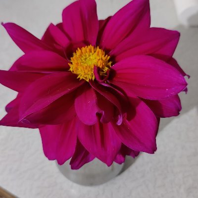 RSingh251's profile picture. 