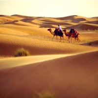 مـفـاخـر . (@mfa5r89) 's Twitter Profile Photo مـفـاخـر . (@mfa5r89) 's Twitter Profile Photo