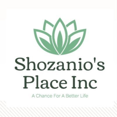 shozanioplace's profile picture. 