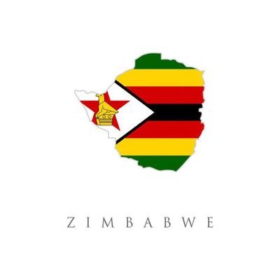Fighting for our black nation to thrive🇿🇼 Bcom in Logistics and Supply Chain management (Honors)
