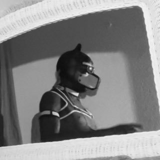 kendollmasked's profile picture. Ken da masked doll