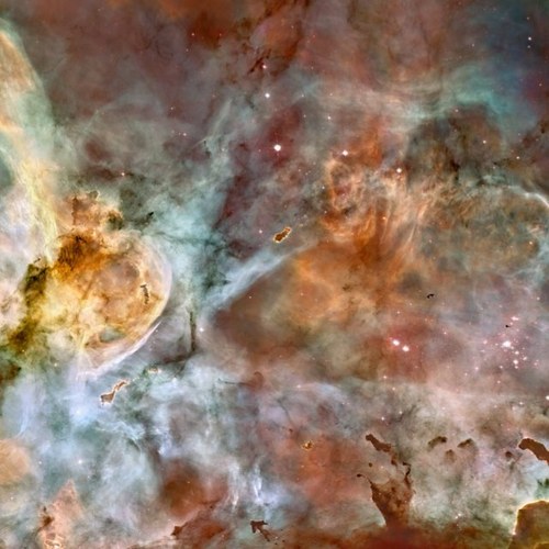 elizabethengel's profile picture. 