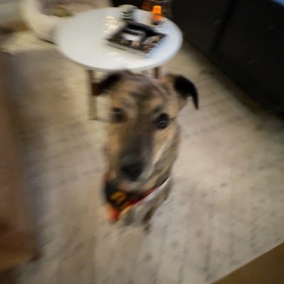 c_bloodsoe's profile picture. 