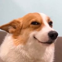 Cesar (@sayzar_) 's Twitter Profile