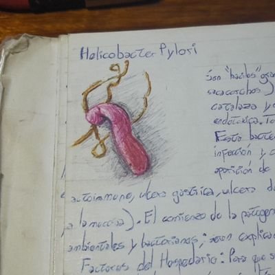 Estudiante de medicina que le gusta hacer dibujos mediocres.
Subo apuntes con mala caligrafía.
No pidas detalle a una bacteria