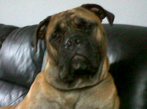 steormy1's profile picture. Professional driver !!! well....taxi driver to be honest but I do get paid so I think that makes me a professional !